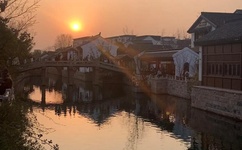 猫咪社区免费资源在线观看